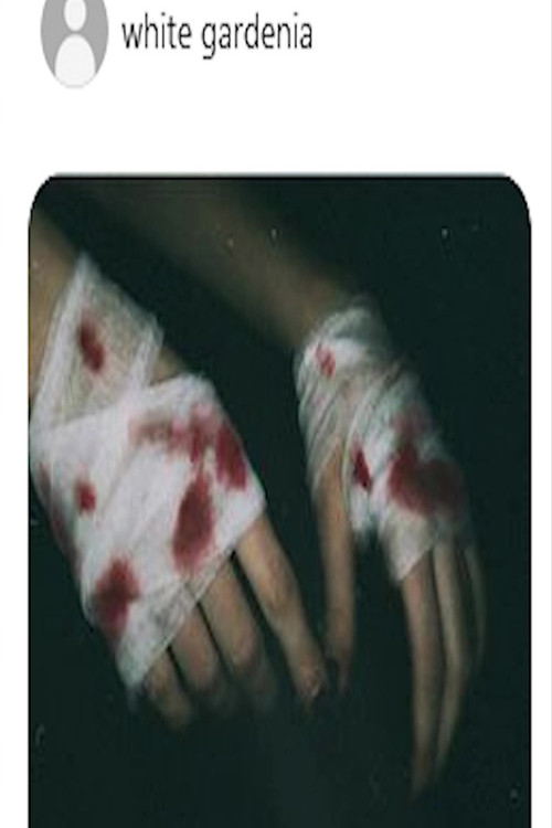 Knight In Service To Her Majestys Bloodied Knees (2025) poster