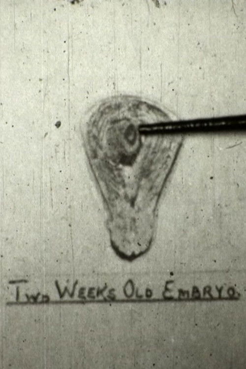 The Creation Of Life (1948) poster