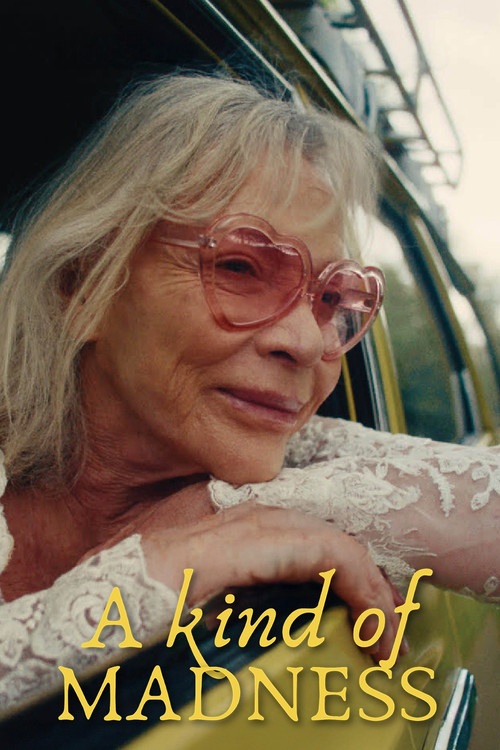 A Kind of Madness (2025) poster