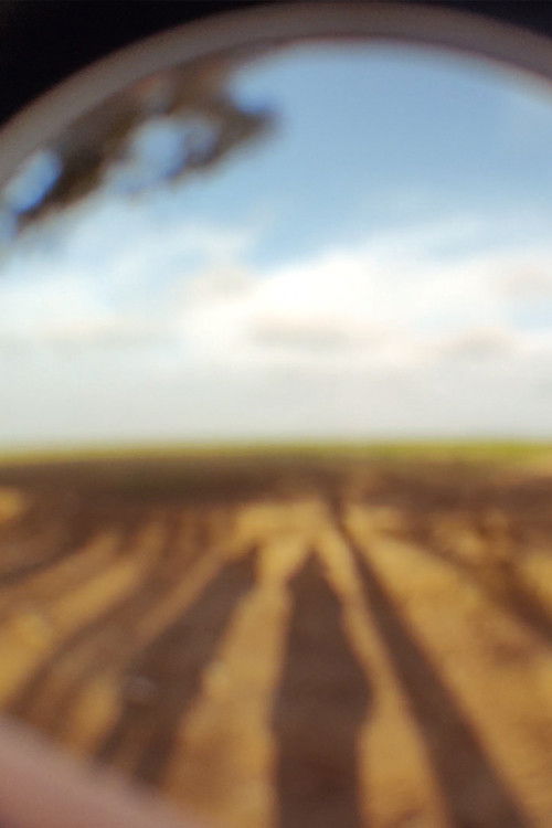 Transmisión de un abrazo (2021) poster