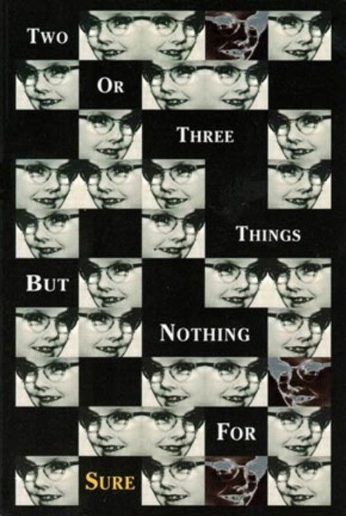 2 or 3 Things But Nothing for Sure (1997) poster