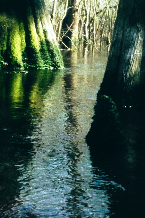 8 Seconds at the Three Sisters poster