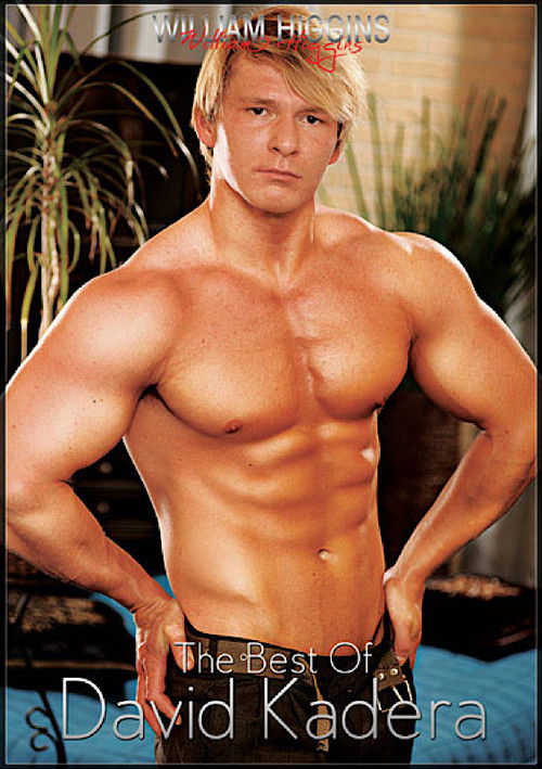 The Best of David Kadera (2012) poster