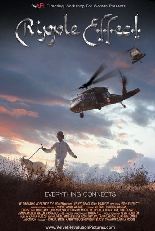 Ripple Effect (2011) poster