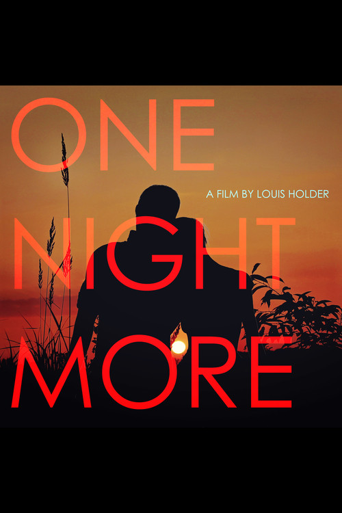 One Night More (2017) poster