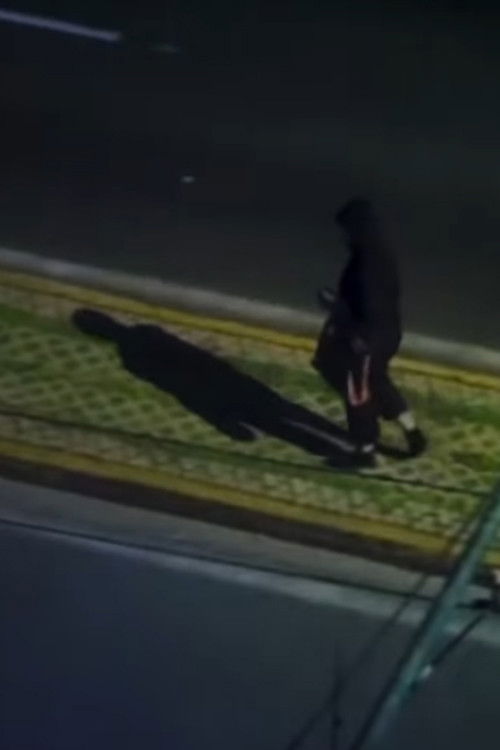 Incredible thoughts of a woman on a tier (2020) poster