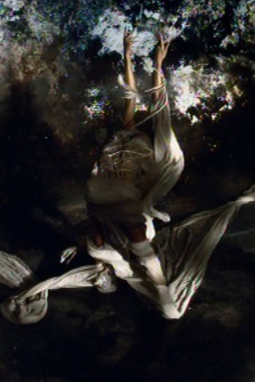 La festa delle rose (2005) poster