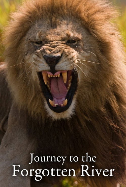 Journey to the Forgotten River (1990) poster