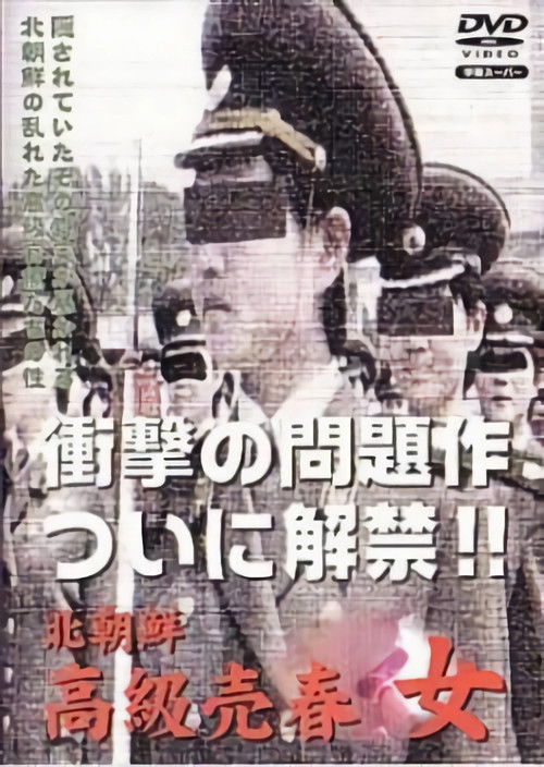 북한 고급 매춘녀 (2002) poster