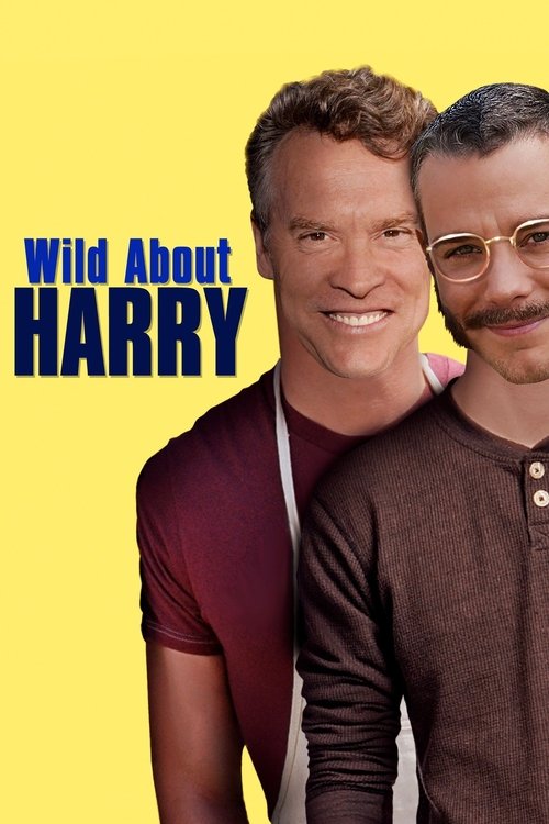 Wild About Harry (2009) poster