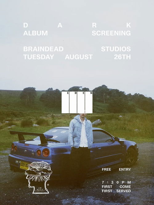 Dark Visual Experience (2025) poster