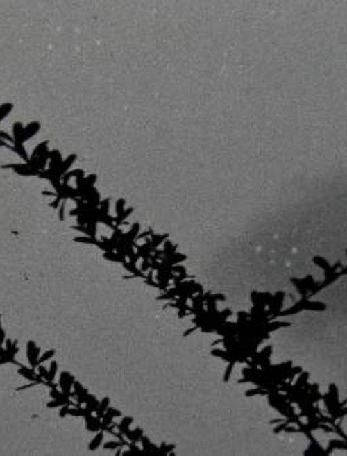 The things that stand the test of time (2024) poster