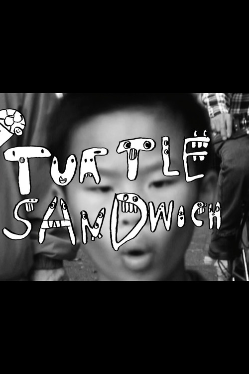 Turtle Sandwich (2025) poster