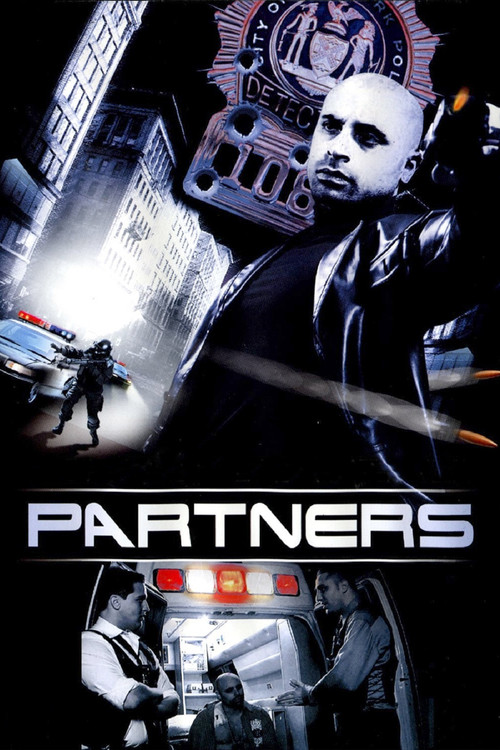 Partners (2009) poster
