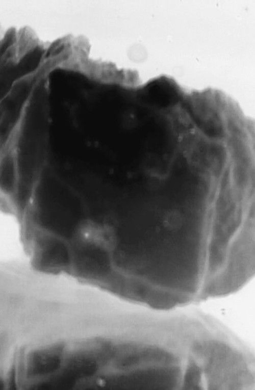 OBERLUS (2018) poster