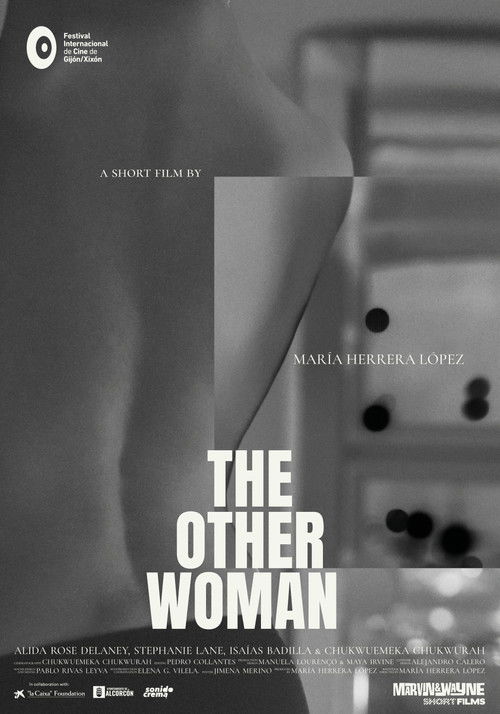 The Other Woman (2025) poster