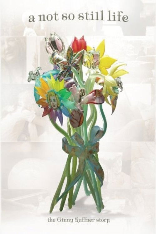 A Not So Still Life (2010) poster