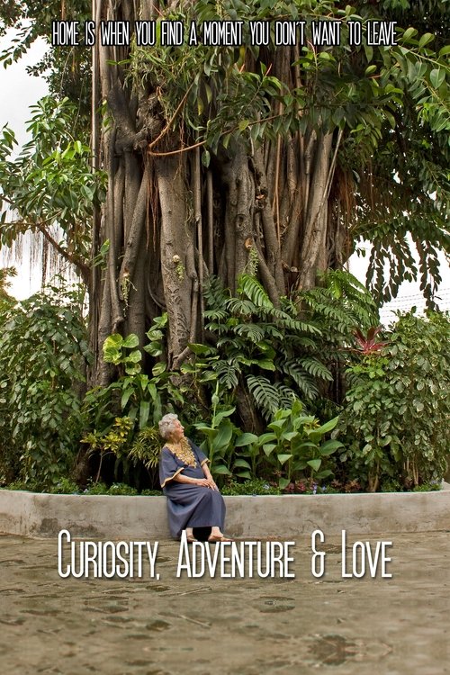 Curiosity, Adventure and Love (2016) poster