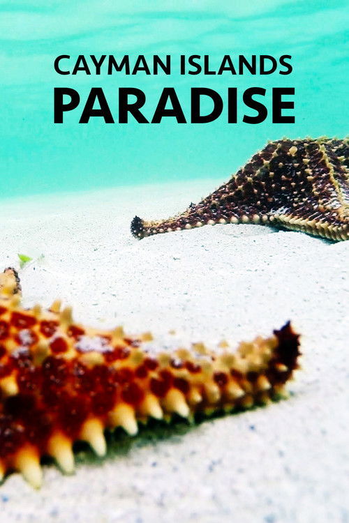 Cayman Islands: Paradise (2021) poster