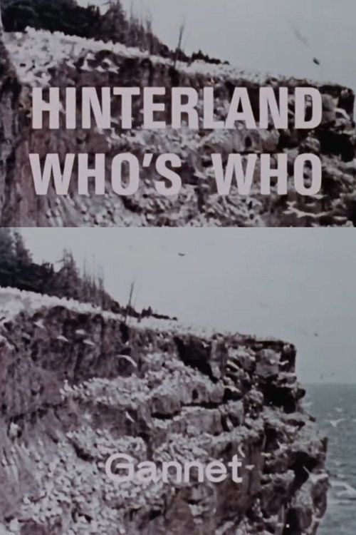 Hinterland Who's Who: Gannet (1963) poster