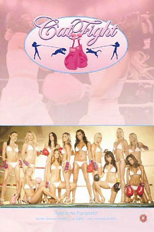 CatFight (2006) poster