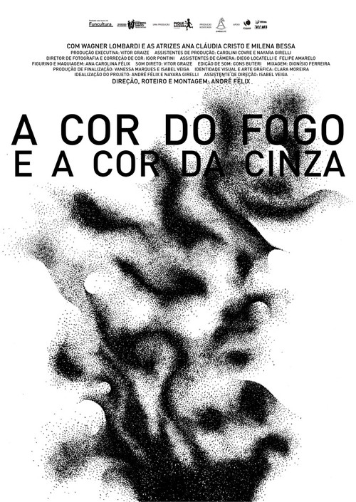 A Cor do Fogo e a Cor da Cinza (2014) poster