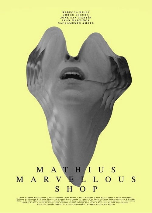 Mathius Marvellous Shop (2019) poster