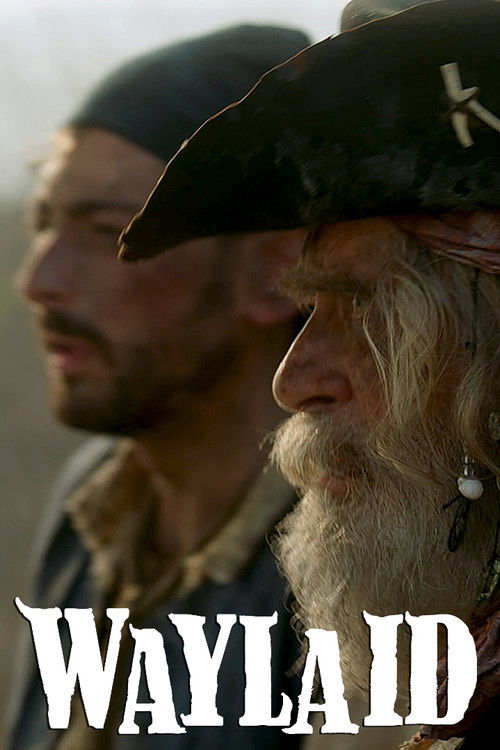 Waylaid (2021) poster