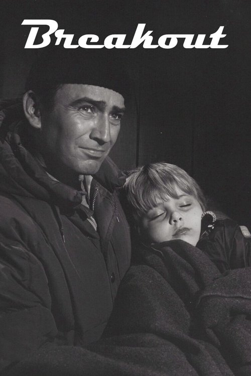 Breakout (1970) poster