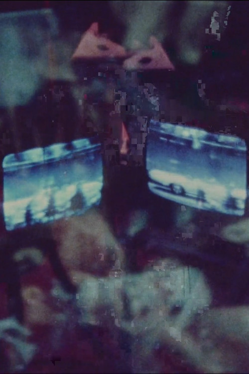 Racetrack (1972) poster