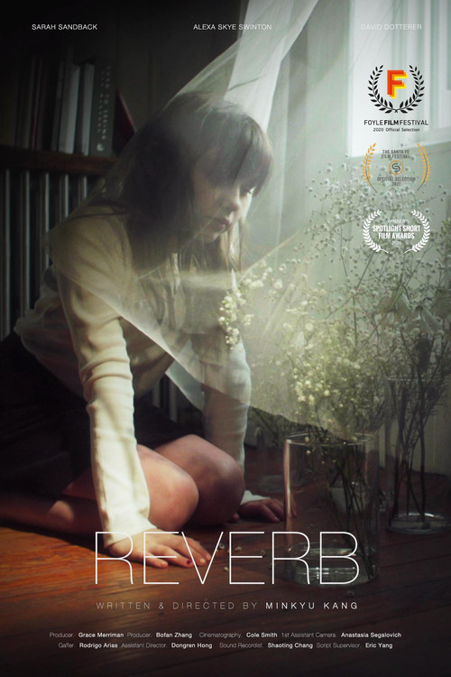 Reverb (2020) poster