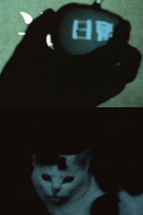 some days ago (2009) poster