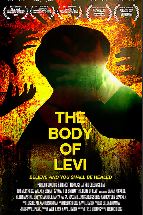 The Body of Levi (2020) poster