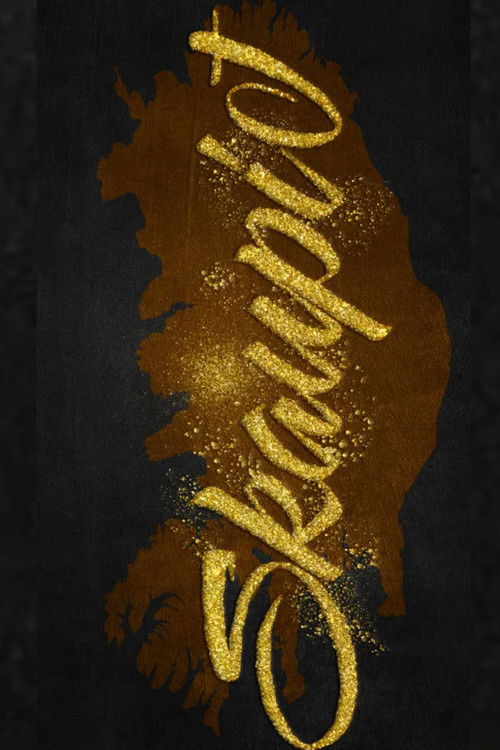 Áramótaskaup: 2024 (2024) poster