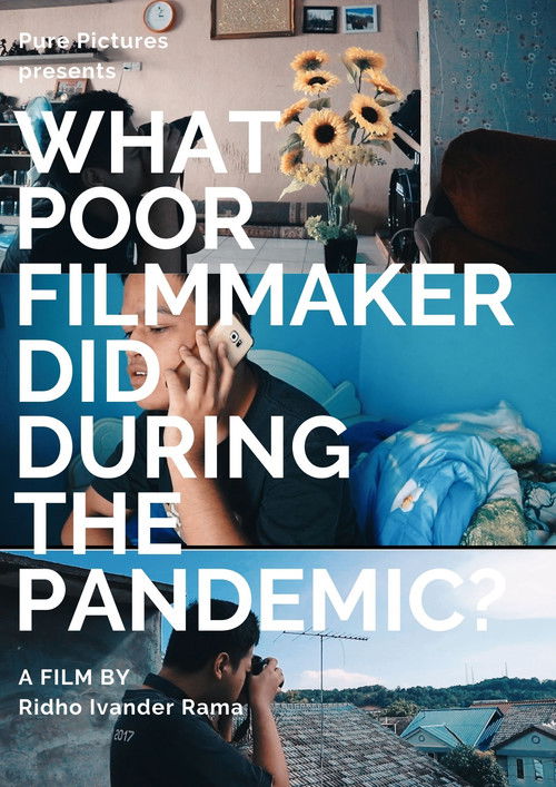 What Poor Filmmakers Did During the Pandemic? (2020) poster