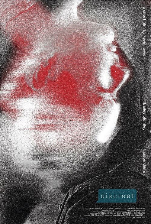 Discreet (2025) poster
