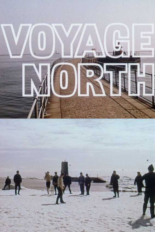 Voyage North (1965) poster