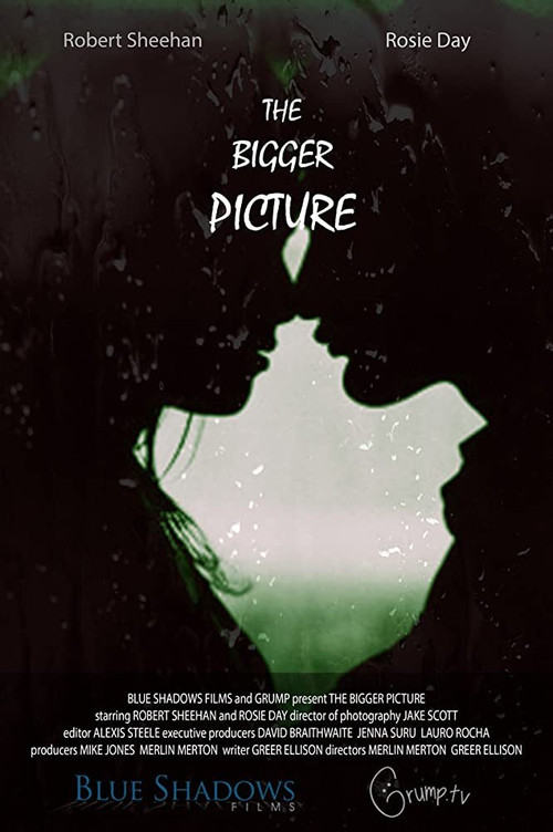 The Bigger Picture (2016) poster