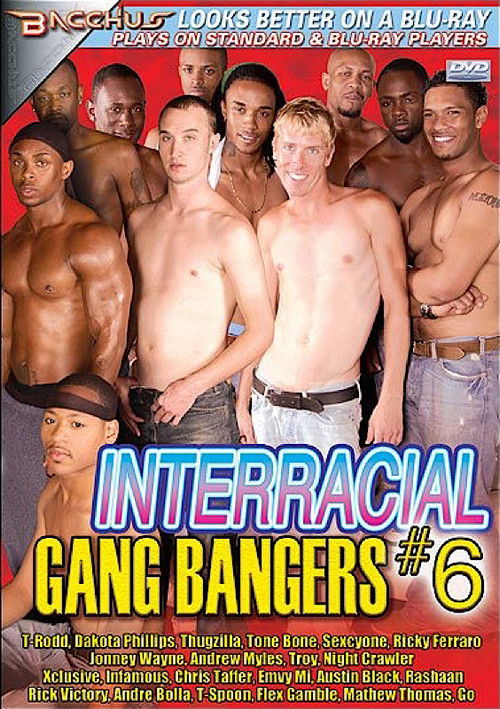 Interracial Gang Bangers 6 (2008) poster