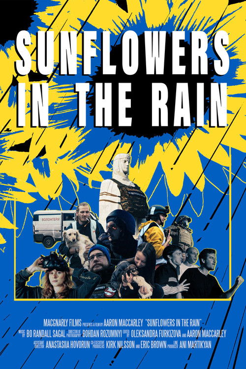 Sunflowers in the Rain (2024) poster