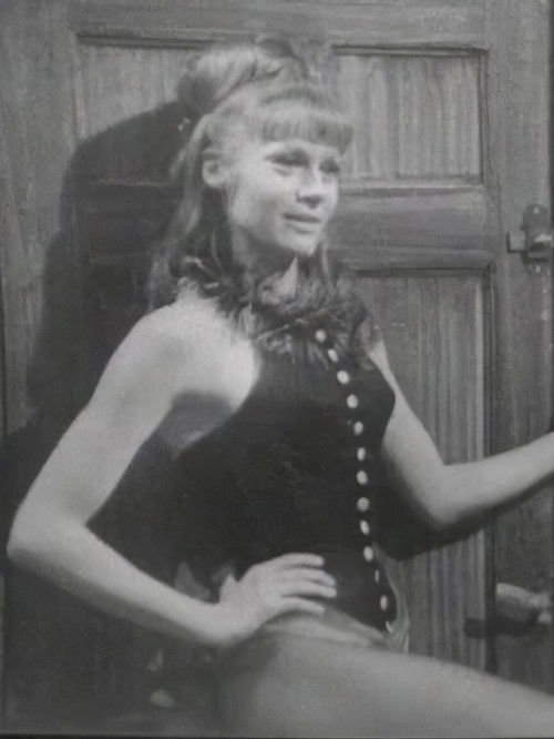 Les Trois Chapeaux claques (1962) poster