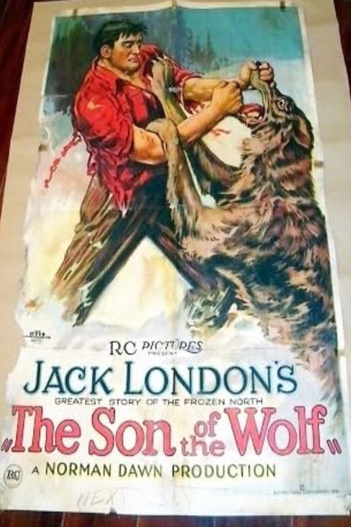 The Son of the Wolf (1922) poster