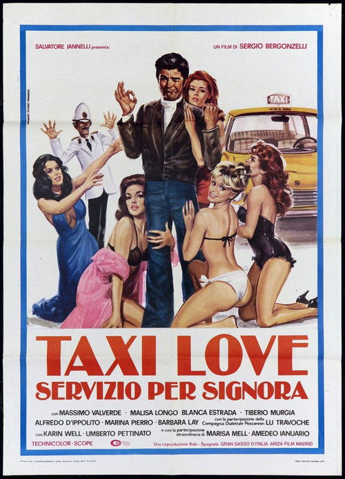 Taxi Love - Servizio per signora (1976) poster