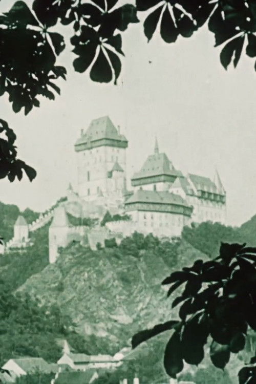 Czech Castles and Palaces (1916) poster