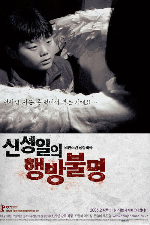 신성일의 행방불명 (2006) poster