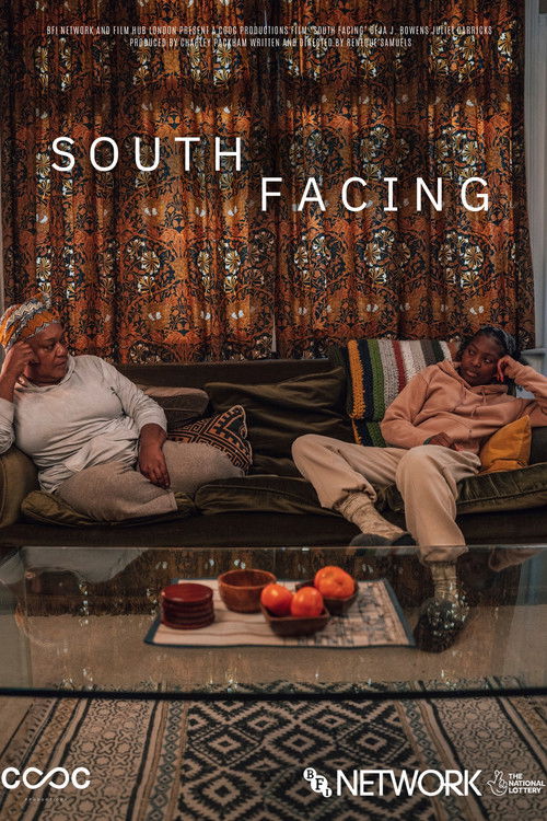 South Facing (2023) poster