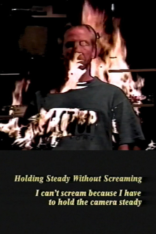Holding Steady Without Screaming (1995) poster