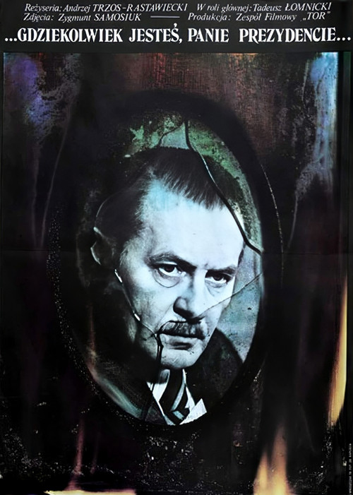 Wherever You Are, Mr. President (1978) poster