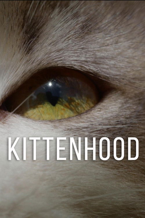 Kittenhood (2015) poster