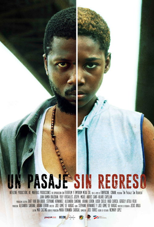 Un pasaje sin regreso poster
